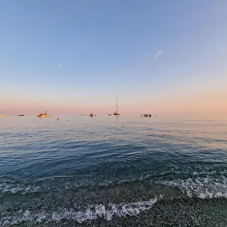 Agave Palizzi Marina